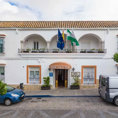Hotel Los Olivos-3